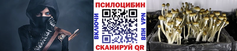 Галлюциногенные грибы Psilocybe  Тосно 